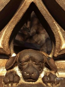 rencontre homme avec chien
