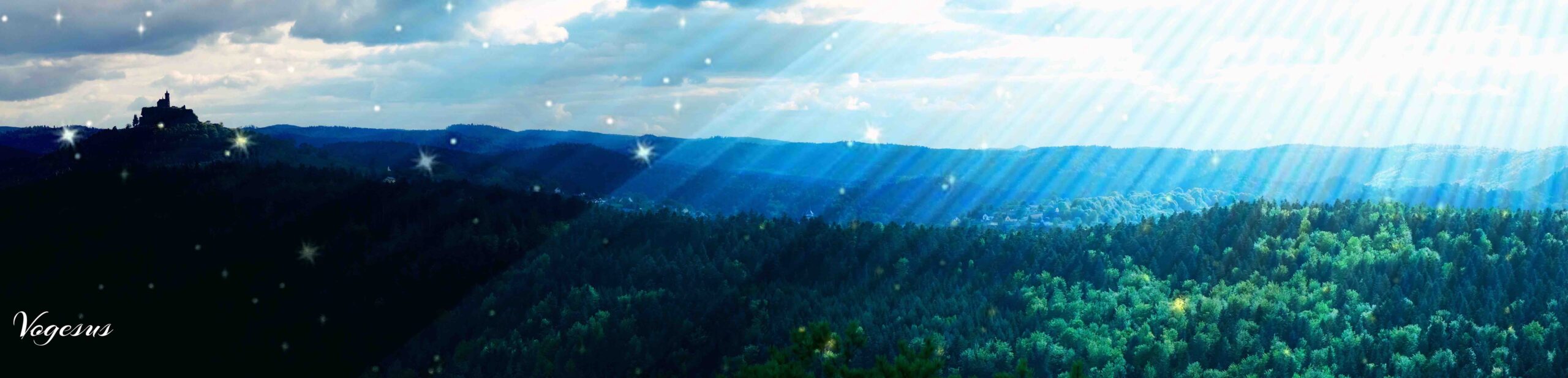 Dabo etoile ok scaled